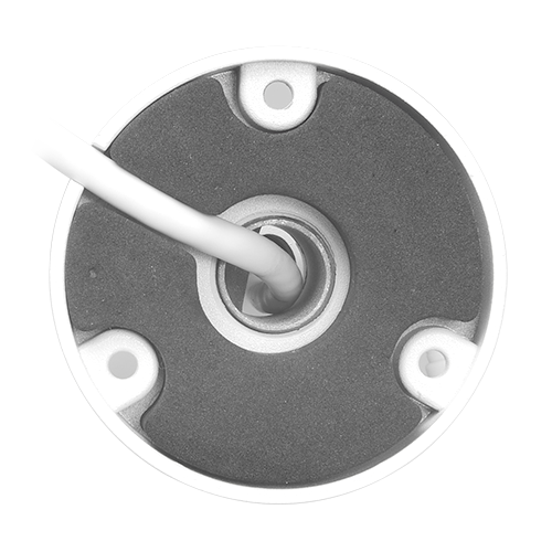 detalle3.png