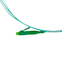detalle2_thumb.png