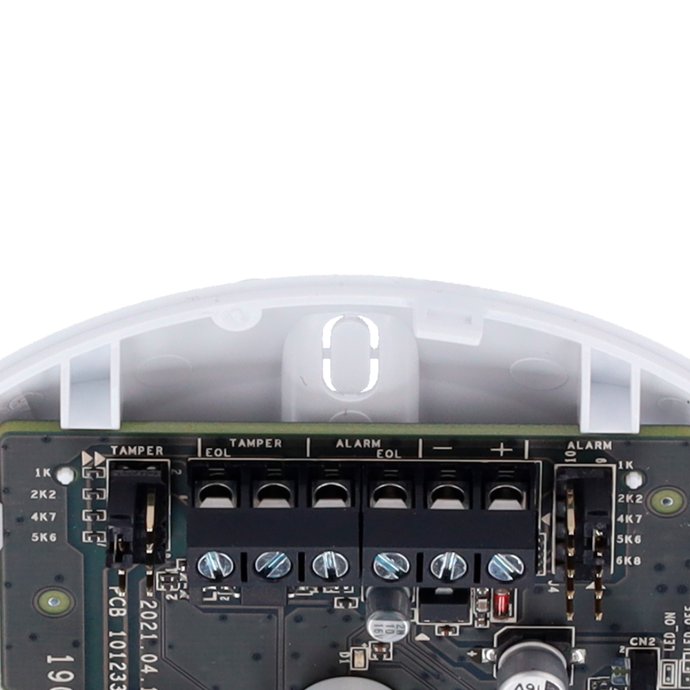 detalle4.png