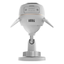 detalle1_thumb.png