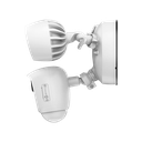 detalle3.png