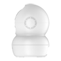 detalle2_thumb.png