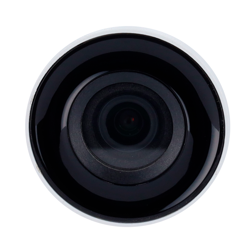 detalle1.png