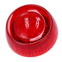 detalle1.png