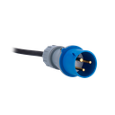 detalle2.png