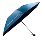 detalle2_thumb.png