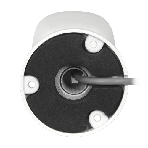 detalle3.png