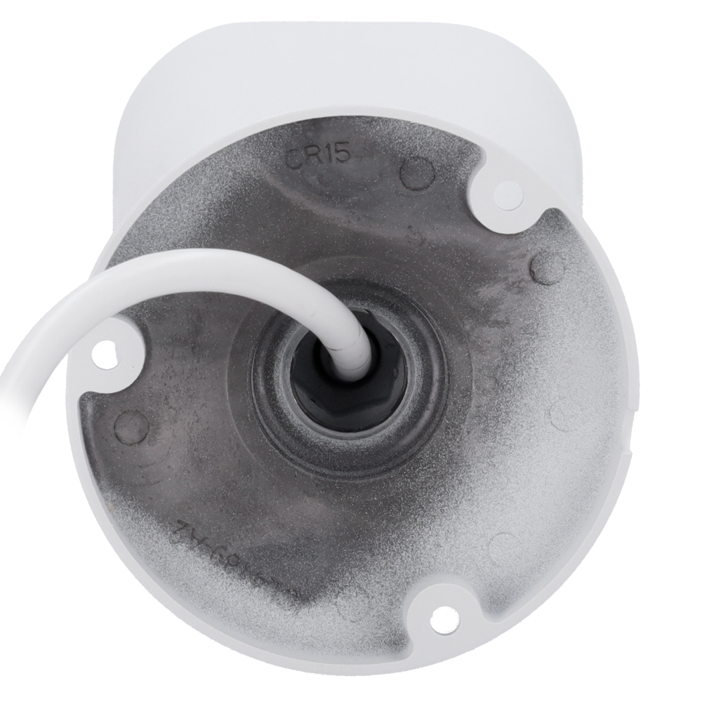 detalle2.png