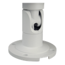 detalle2.png