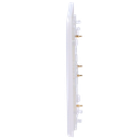 detalle2.png