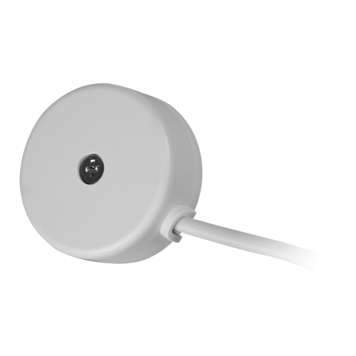 detalle1.png