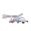 detalle5.png