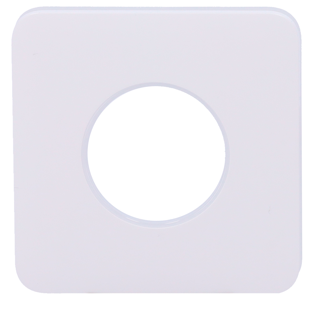 detalle2.png