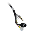 detalle1.png