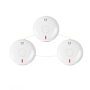 detalle1_thumb.png