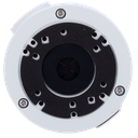detalle2.png