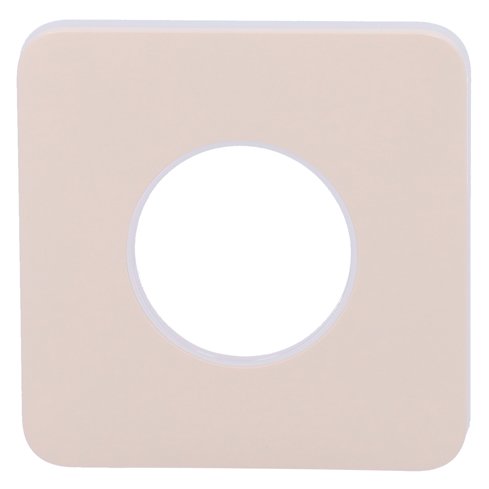 detalle2.png