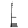 detalle1_thumb.png