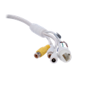 detalle5.png