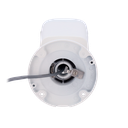 detalle3.png