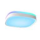 detalle1.png