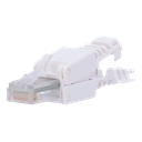 detalle1.png