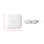 detalle3_thumb.png