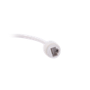 detalle4.png