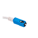 detalle2.png