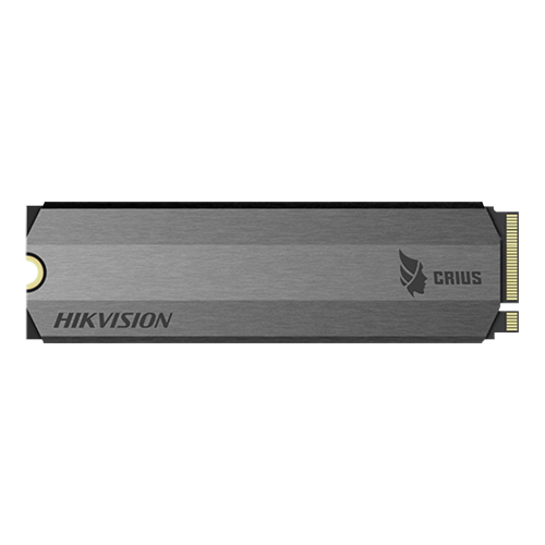 HS-SSD-E2000-256G