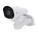 MS-TS2961-X12TPE