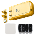 NVS-SMARTBOLT-GOLDEN